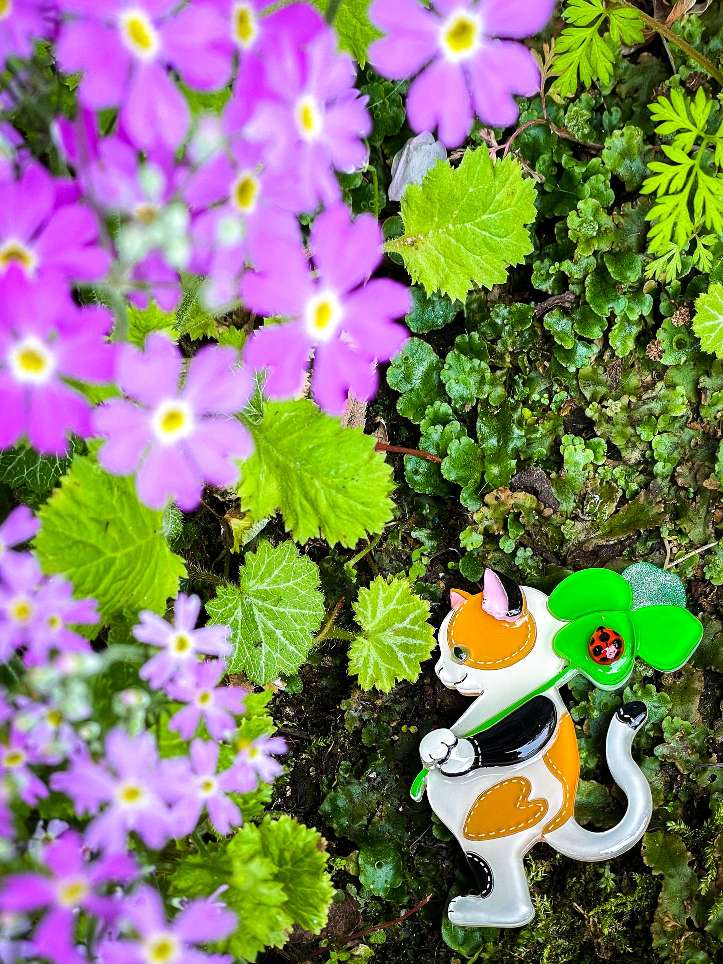 Stitch cat with lucky clover and ladybug