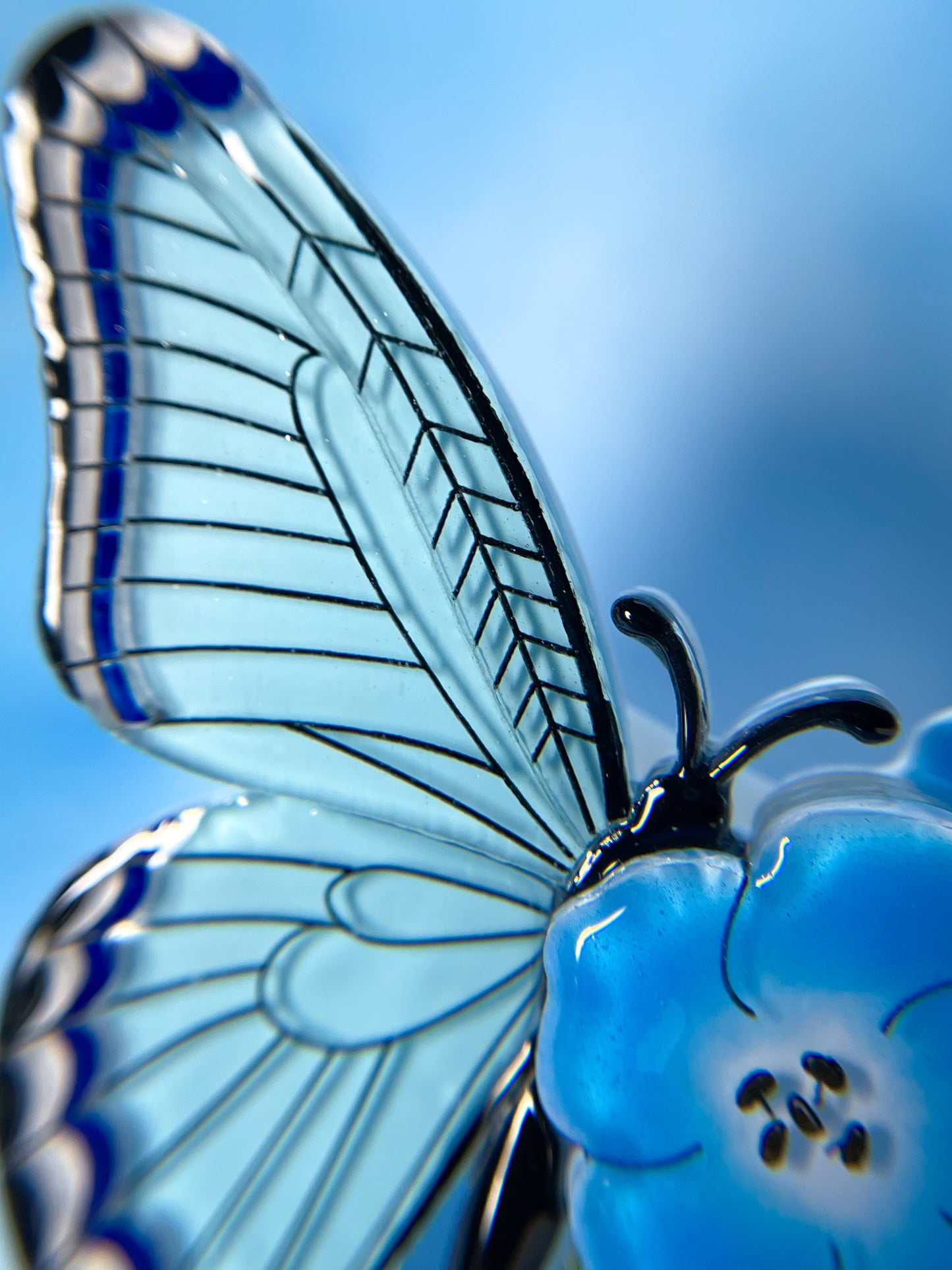 Stained Glass Butterfly Brooch with Anemone